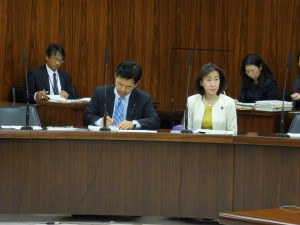 総務委員会②H28.5.12